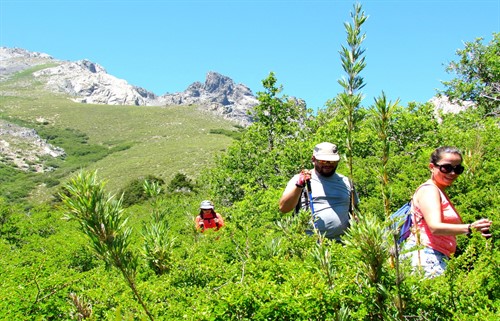 Cerro el Peine Altos de Lircay