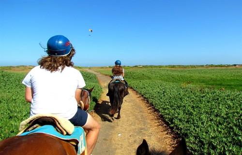 Horseriding Tour Santiago Chile