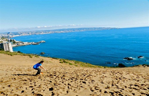 Tour Viña del Mar Chile