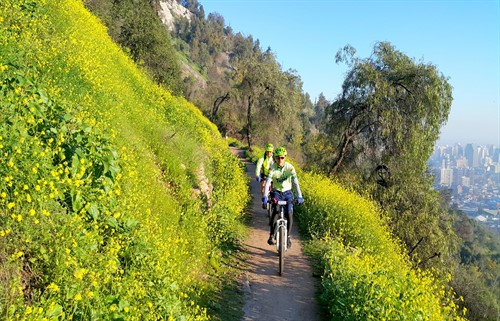 Where to Mountain bike in Santiago Chile