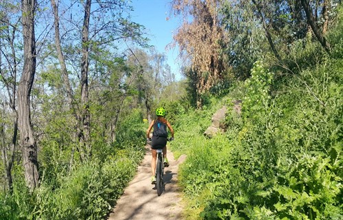 San Cristobal Hill Mountain Bike Tour Santiago