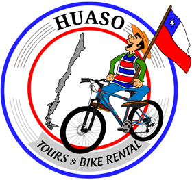 logo Huasotours