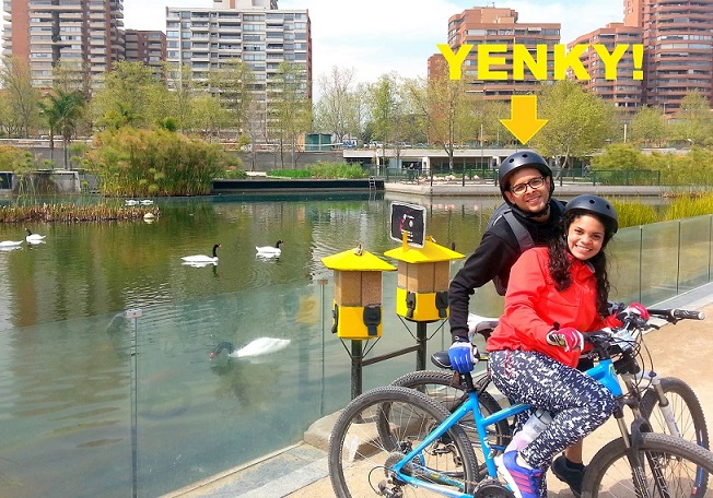 Yenky -Webmaster e Desenvolvimento